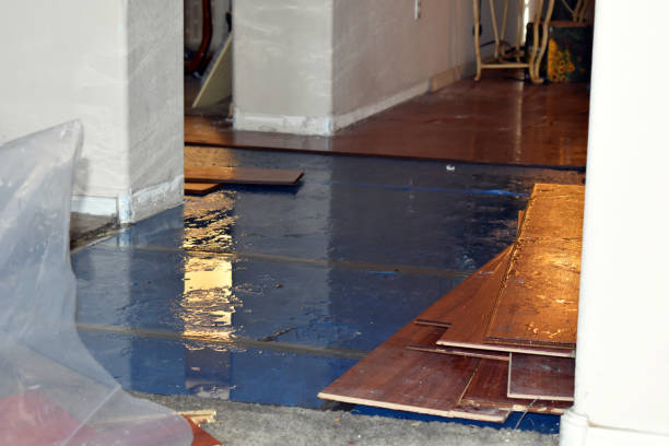 Professional Sewage Cleanup technician working in Bayview, ID
